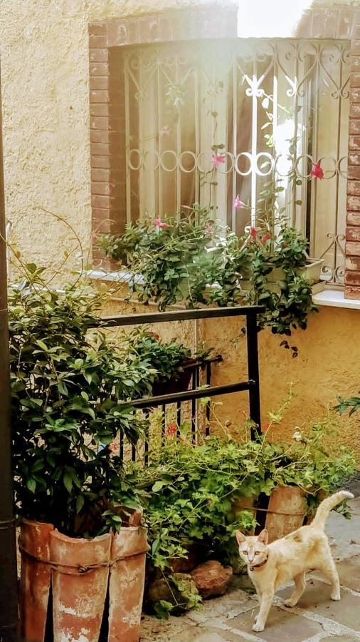 Le Origini Casa In Borgo Tipico Lucano Trivigno Exterior foto