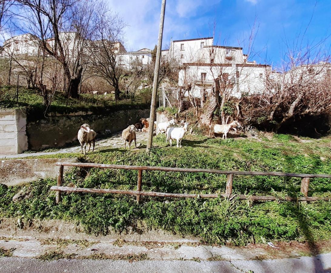 Le Origini Casa In Borgo Tipico Lucano Trivigno Exterior foto